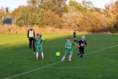 24_25_F1_Grevesmuehlen_02