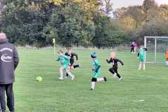 24_25_F1_Grevesmuehlen_03