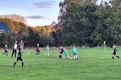 24_25_F1_Grevesmuehlen_04