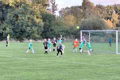 24_25_F1_Grevesmuehlen_05