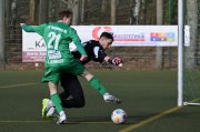 Siedenbollentin11