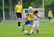 TLB_Cup_019