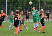 TLB_Cup_021