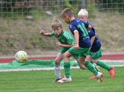 TLB_Cup_069