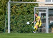 Dynamo17