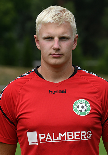 Paul Scherz